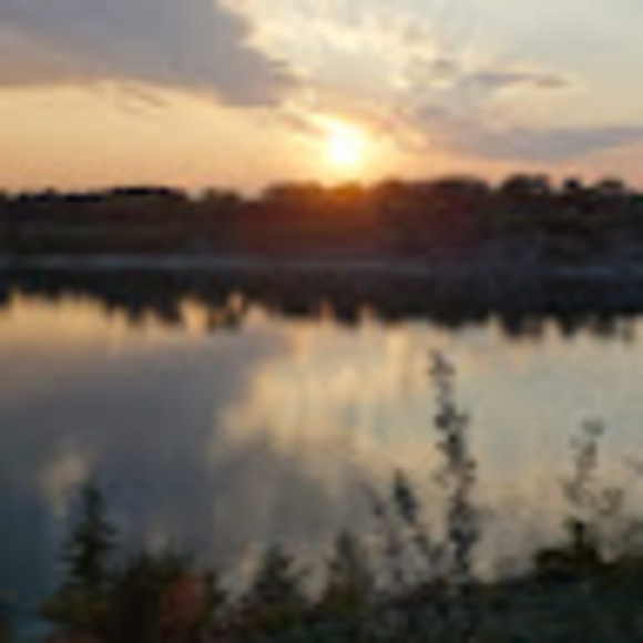 Meet your Posher, Thompson - Picture 1 of 1